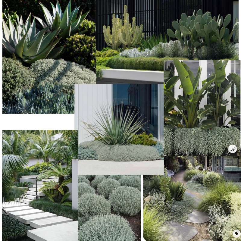 Front Garden Landscaping Mood Board by StephW on Style Sourcebook