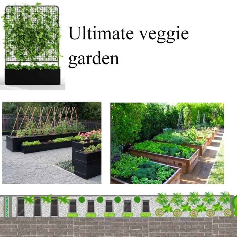 veggie garden Mood Board by Nadine Meijer on Style Sourcebook