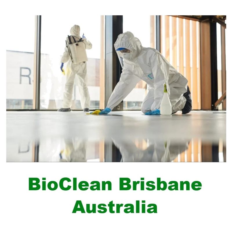 House Clean up Services - Bio Clean Brisbane Mood Board by biocleanbrisbane on Style Sourcebook