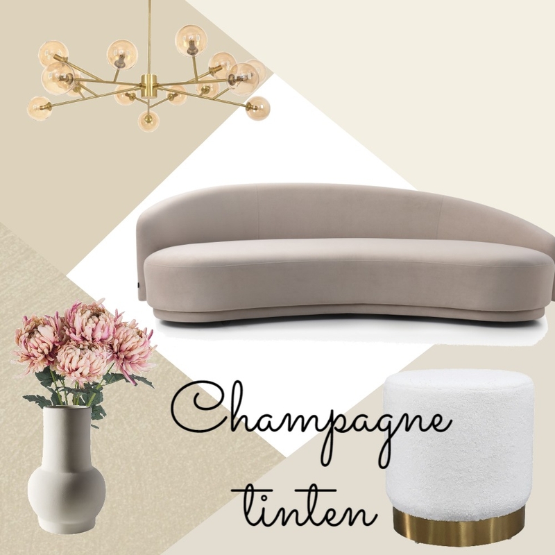 Champagne tinten Mood Board by N.Schipper on Style Sourcebook