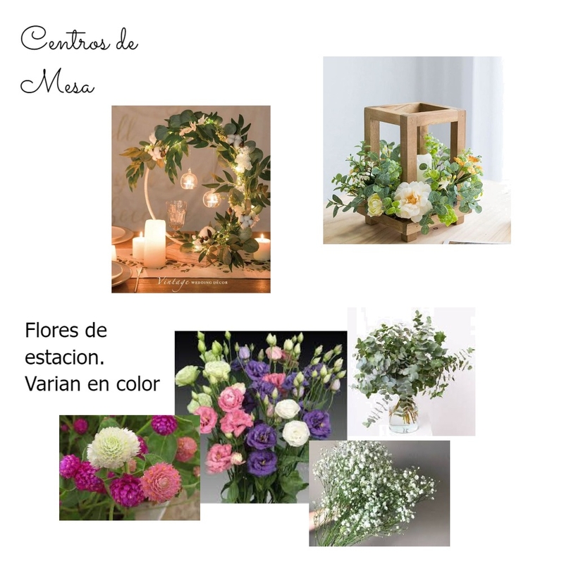 Centros de Mesa Mood Board by eugegatica on Style Sourcebook