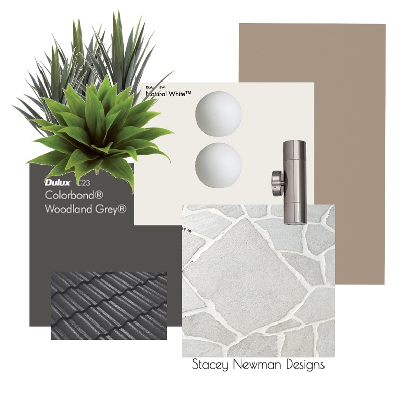 Excelsior Exterior Colour Scheme Mood Board by Stacey Newman Designs on Style Sourcebook