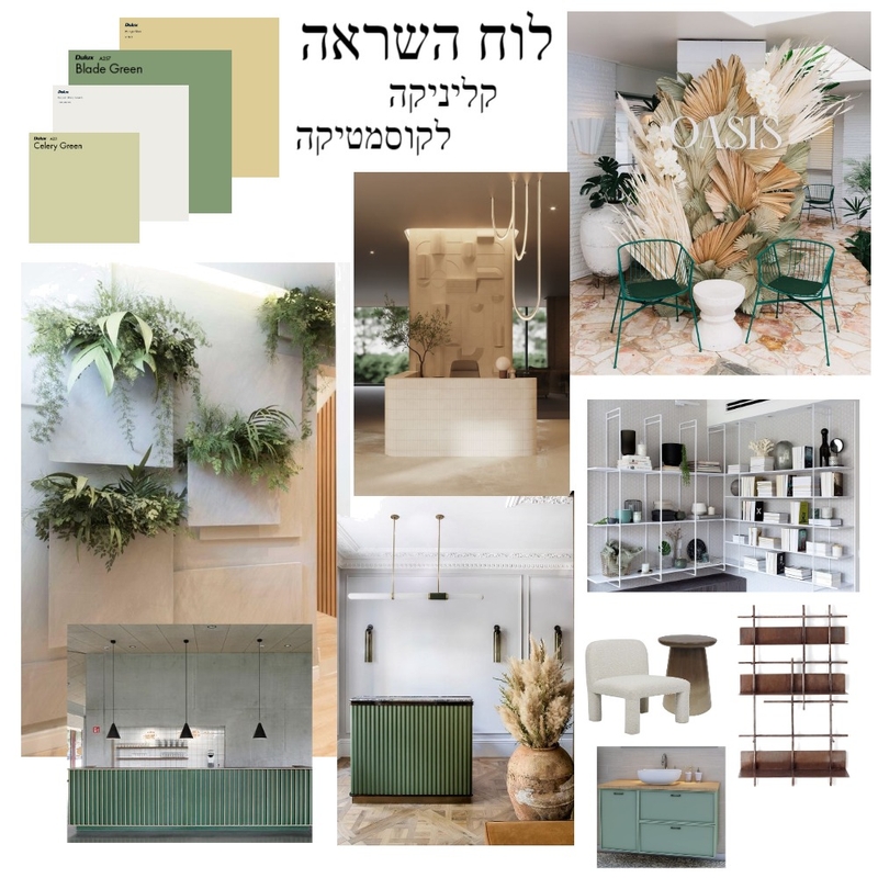 לוח השראה-קליניקה לקוסמטיקה Mood Board by mali kai on Style Sourcebook