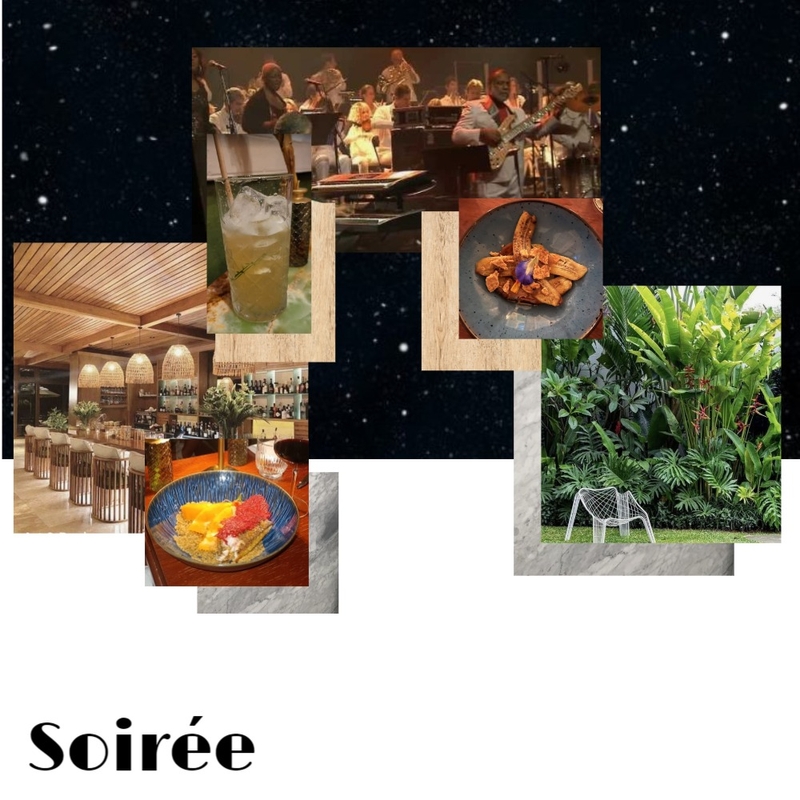 soirée Mood Board by M. on Style Sourcebook