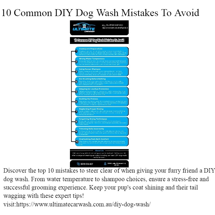 10 Common DIY Dog Wash Mistakes To Avoid Mood Board by Ultimatecarwash on Style Sourcebook