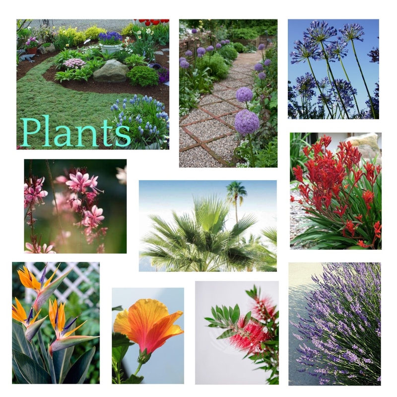 Andrea & Grahams Backyard: Plants Mood Board by Atelier Cecilia Martin on Style Sourcebook