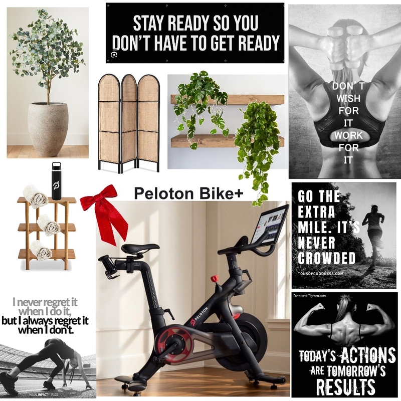 Peloton Room Mood Board by Tammieaw721 on Style Sourcebook