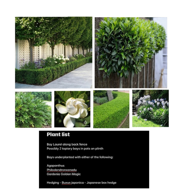 Plant list for Yokine property Mood Board by Jennypark on Style Sourcebook