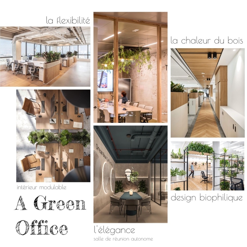 Biophilic Office Mood Board by Alessia Malara on Style Sourcebook