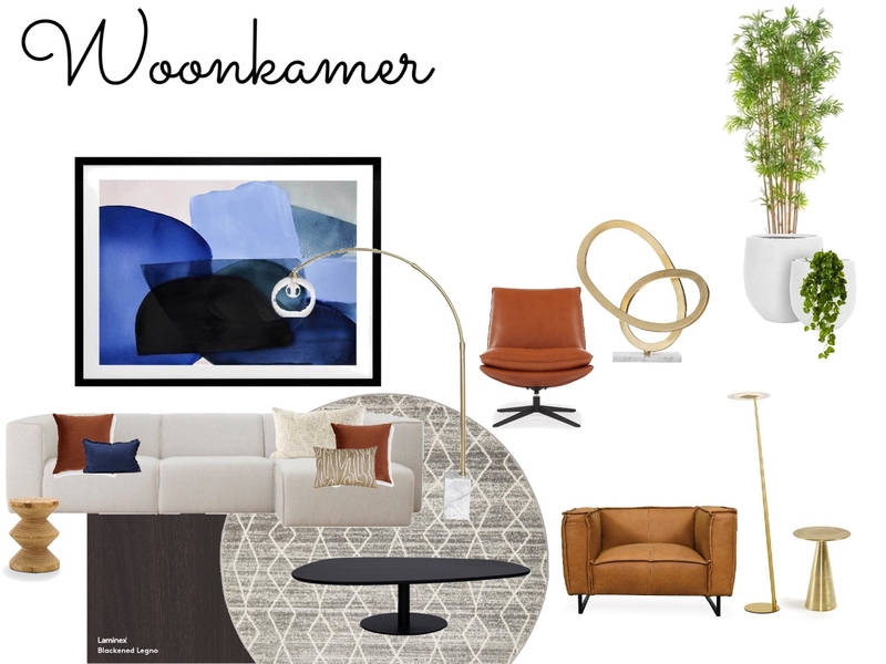 woonkamer Mood Board by Caroline Romer Snel on Style Sourcebook