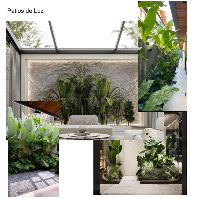 Patios de Luz Mood Board by Lulifernandez on Style Sourcebook