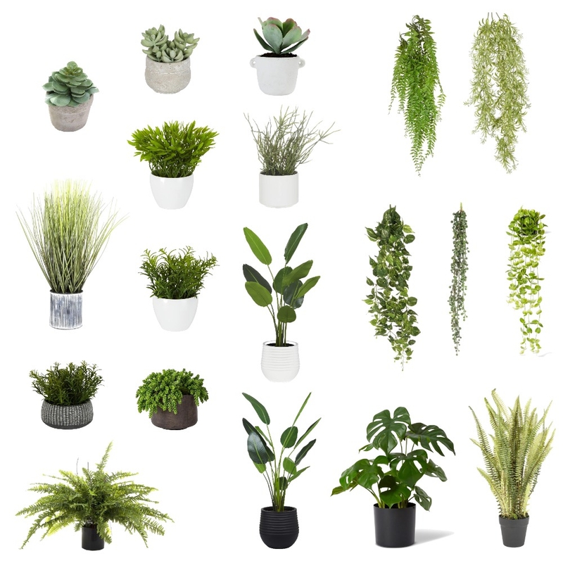 plants Mood Board by Tricia Kramer on Style Sourcebook