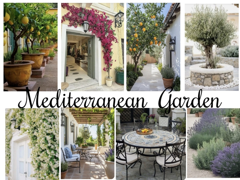 Mediterranean landscape progect Mood Board by lisabet on Style Sourcebook