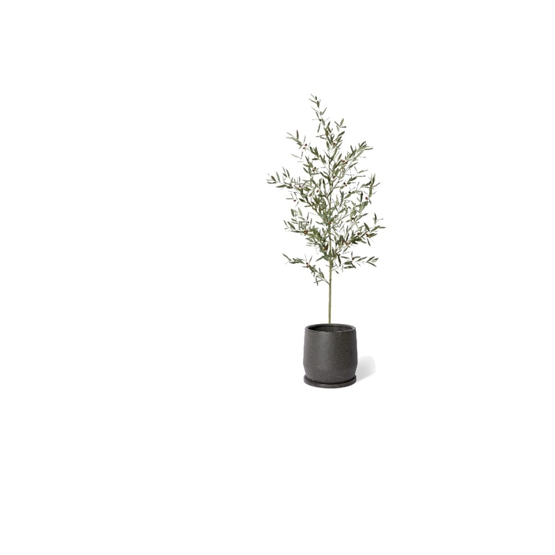 olive plant Mood Board by lisahardie on Style Sourcebook