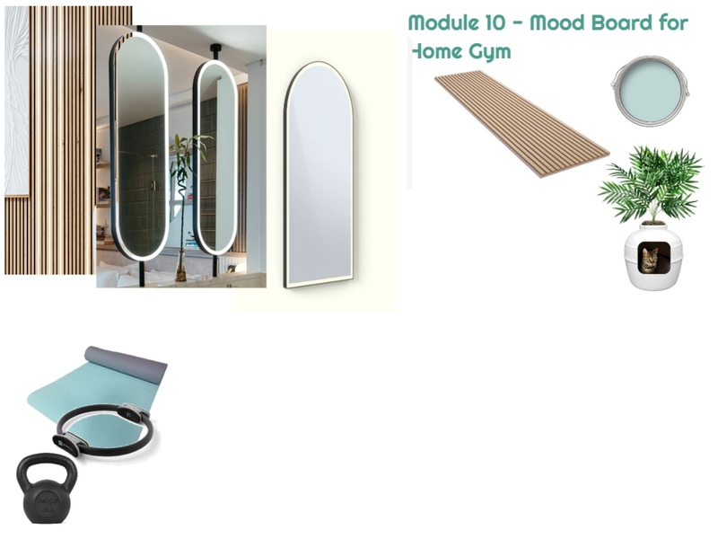 Module 10 - Gym Mood Board 29-05-25.1 Mood Board by JudyK on Style Sourcebook