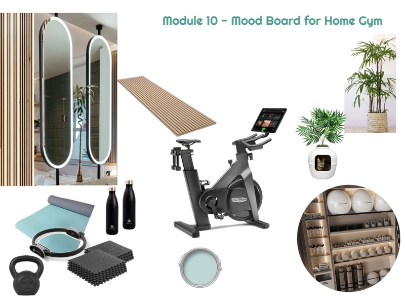 Module 10 - Gym Mood Board 30-05-25.1 Mood Board by JudyK on Style Sourcebook