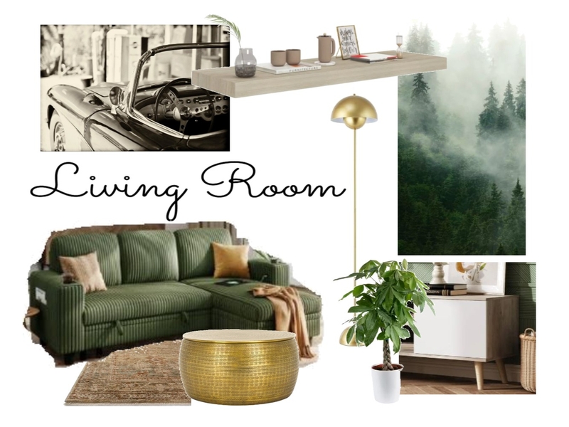 living room 1 Mood Board by LCliveitupdesigns on Style Sourcebook