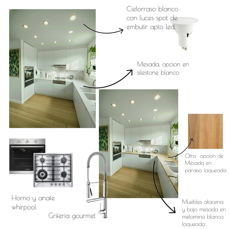 lagartos2 Mood Board by CECYS on Style Sourcebook