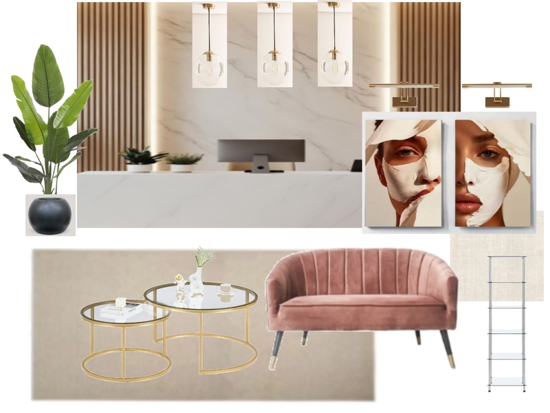 estetica amiga Mood Board by Studiohomeluxury on Style Sourcebook