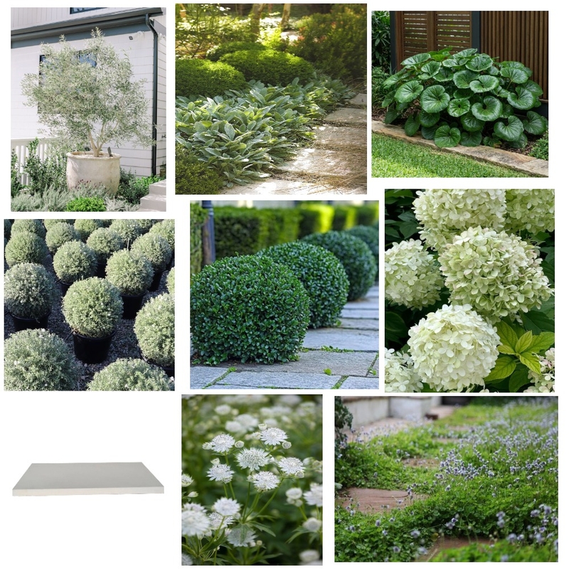 Plant Selection - Gregory Hills Mood Board by Makiah Pippen on Style Sourcebook