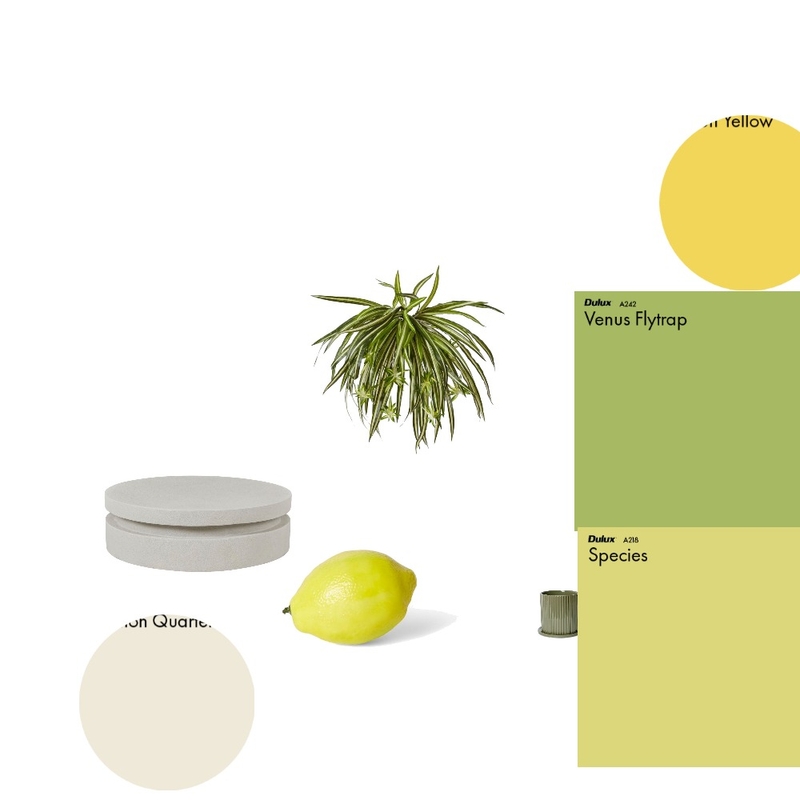 PROCESO Mood Board by jazminsoroka@gmail.com on Style Sourcebook