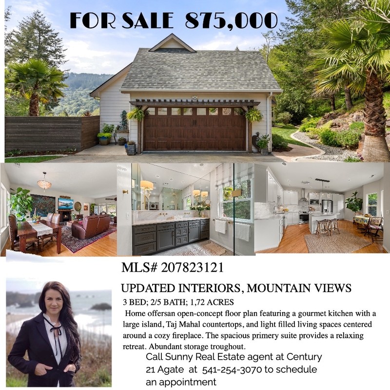 17146 Mountain dr Mood Board by sunny@century21agate.com on Style Sourcebook