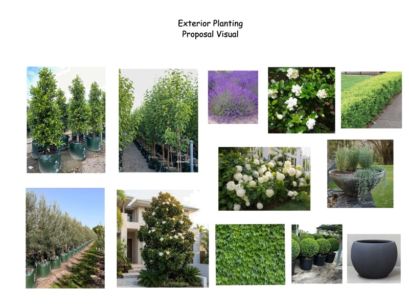 Exterior Planting Proposal Mood Board by ADS Property Pty Ltd on Style Sourcebook