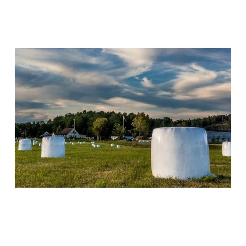 Silage Wrap - Silage film Interior Design Mood Board by Silage Silage Wrap - Silage film Interior Design Mood Board by Silage